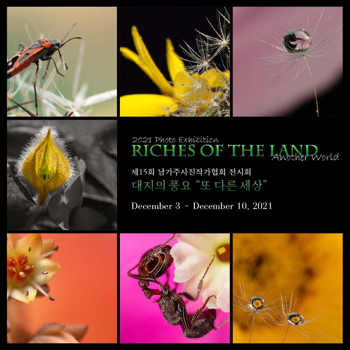 The 15th Photographers Society of Southern California Exhibition
